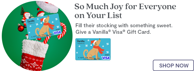 Hero Banner 2 - Vanilla Visa Stocking Stuffers