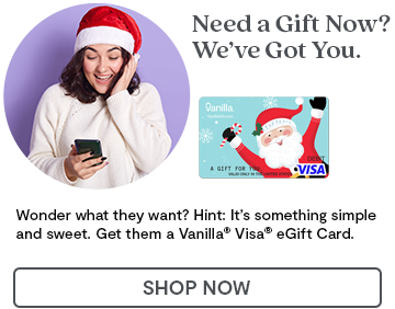 Hero Banner 2 - Visa eGift Cards